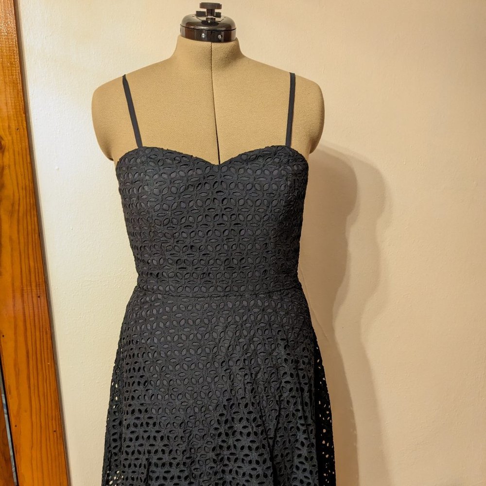 NWT Ann Taylor lace dress
